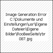 Geldbörse Betty Boop, Art.-Nr.: 1019/4