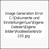 Buckle-Gürtel rosa, Art.-Nr.: 1039/2