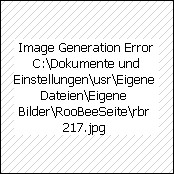 Buckle-Gürtel silber, Art.-Nr.: 1039/4