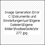 Haarnadel mit Rosetten Cara, Art.-Nr.: 1031/2