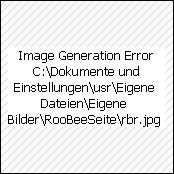 Haarclips mit Karo, Art.-Nr.: 1009/2